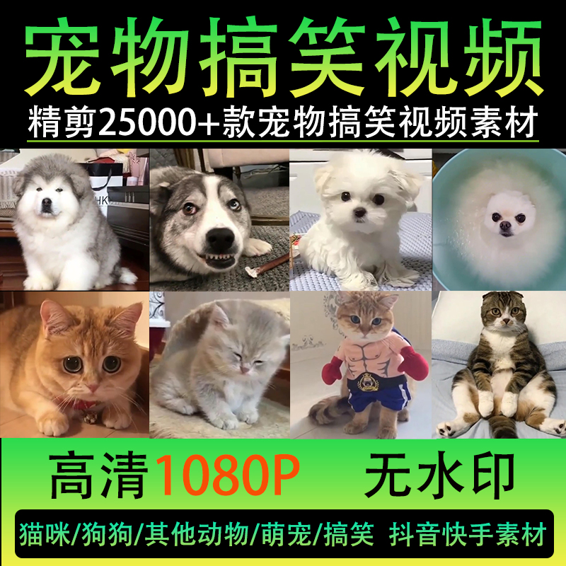 萌宠动物搞笑短视频国外怪可爱猫咪狗狗抖音快手高清无水印素材包【242期】