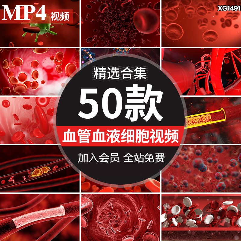 血管血液流动红细胞病毒医学医疗微生物动画动态LED背景视频素材