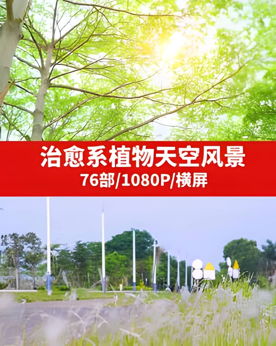 治愈系植物天空风景视频素材