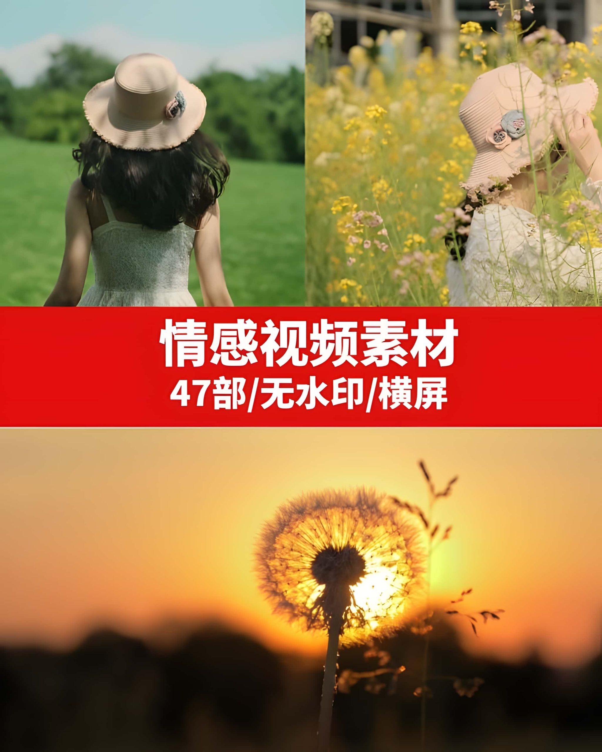 情感励志视频素材