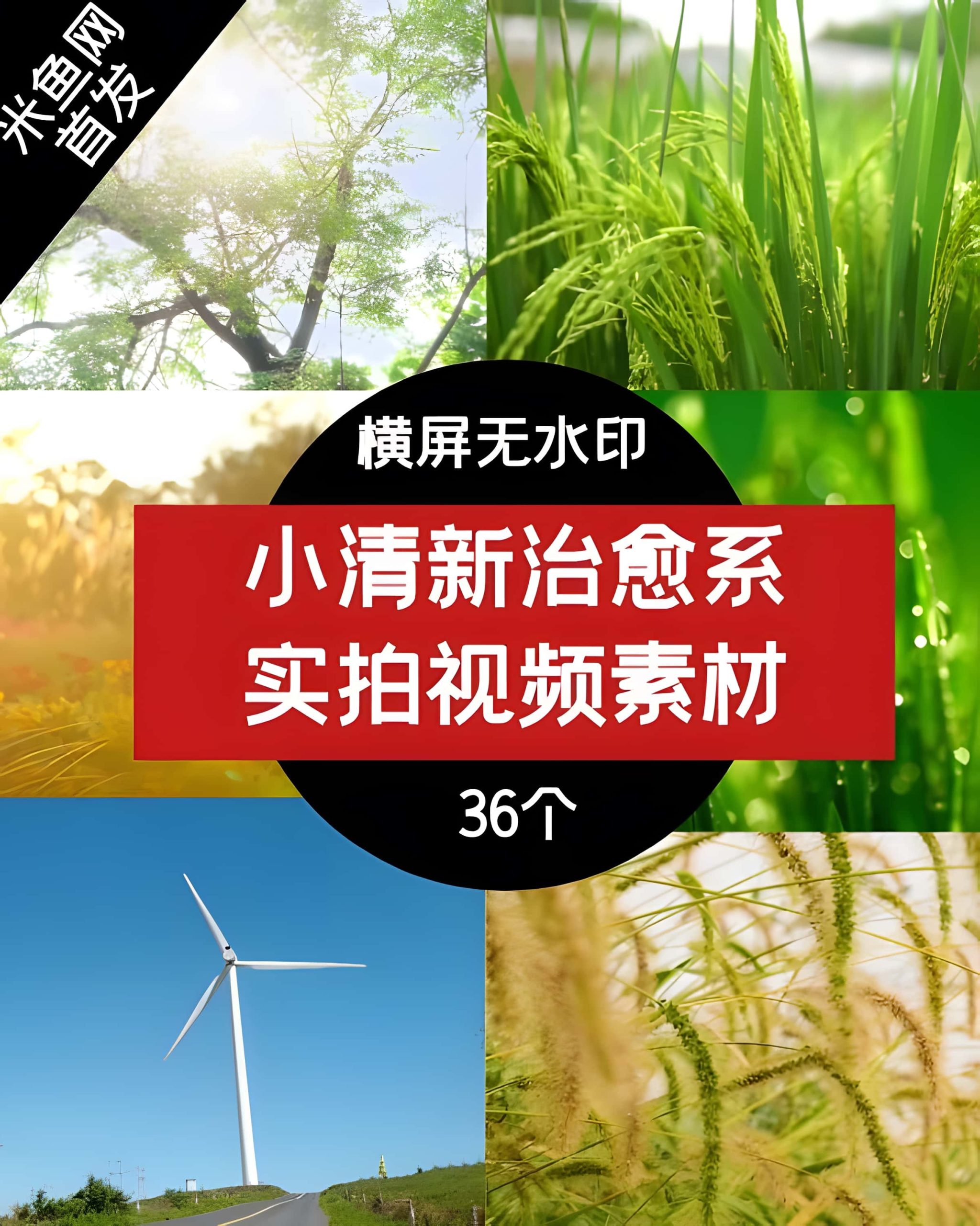 小清新治愈系高清视频素材-