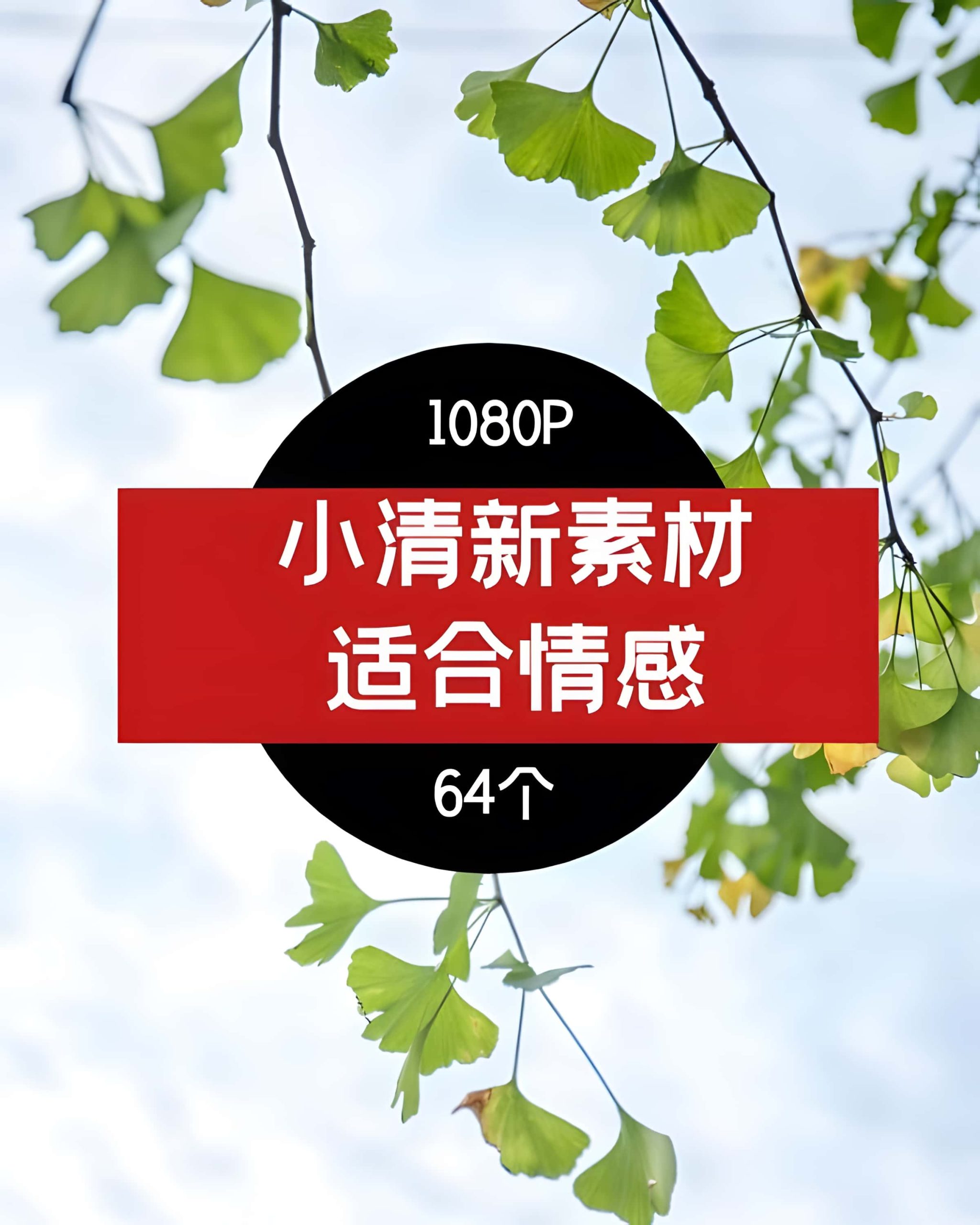 小清新视频素材-2