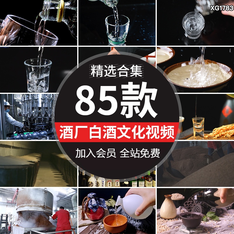 白酒文化倒酒特写倒入酒杯白酒生产酒水酒厂酿造酿酒工艺视频素材