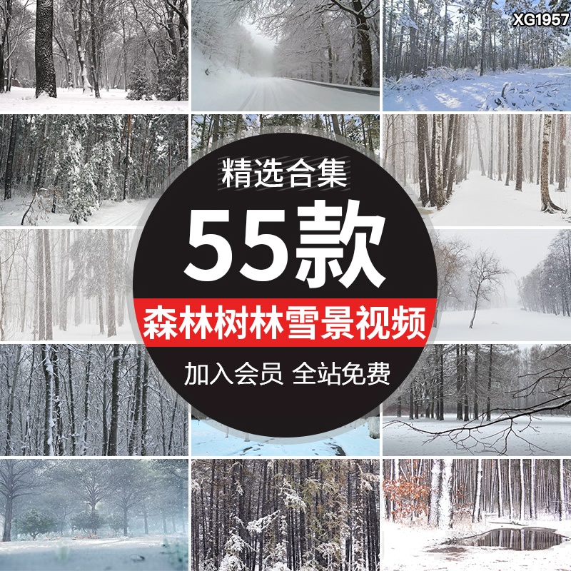 冬季森林雪中树林雪景雾凇大雪下雪花飘落积雪冬天实拍短视频素材