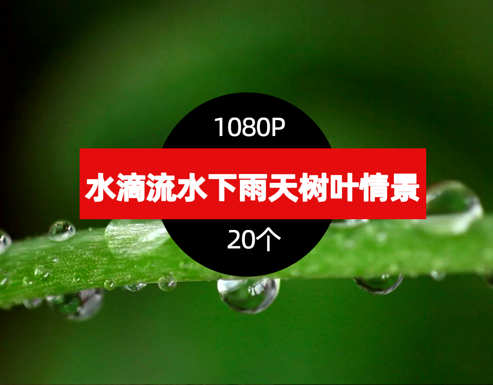 水滴流水下雨天树叶情景视频素材