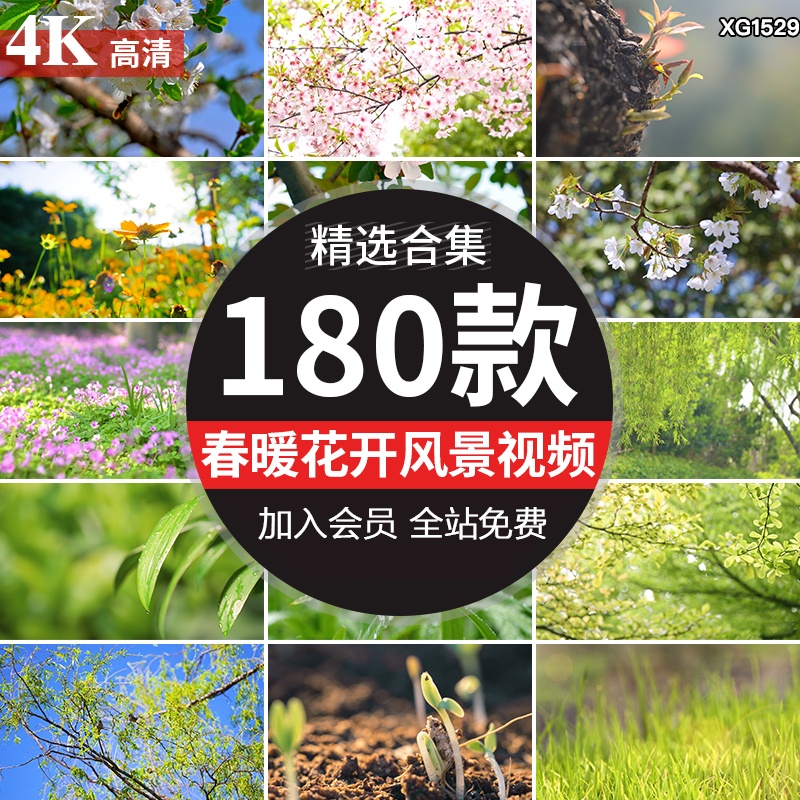 春暖花开春意盎然鲜花盛开花朵春天阳光万物复苏发芽春雨视频素材