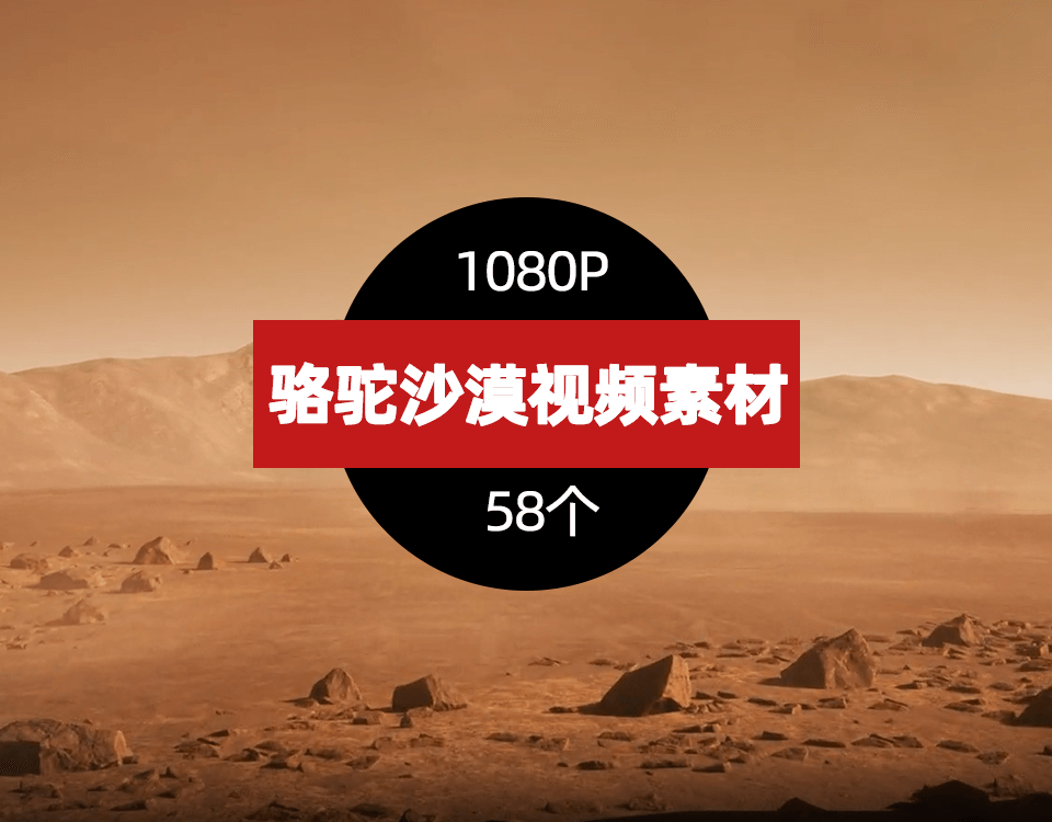 骆驼沙漠视频