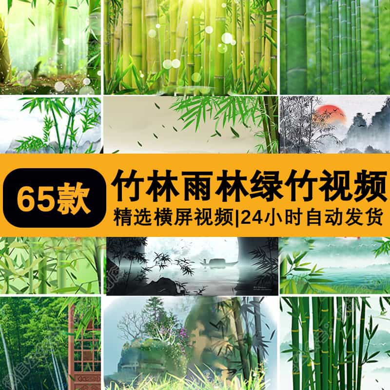 竹子雨竹林绿竹中国风古风水墨山水苗族山歌民歌LED视频背景素材