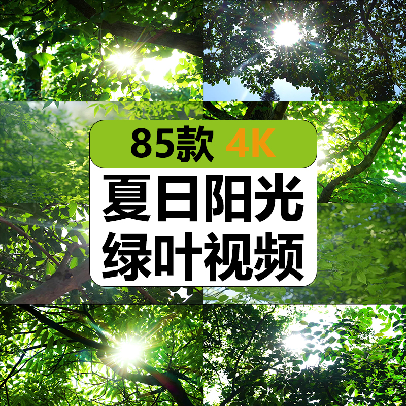 4K夏日太阳光穿透过绿叶树大自然唯美景小清新暖阳空镜头视频素材