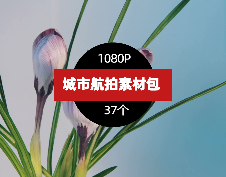 城市航拍素材包 城市航拍高清素材【220期】