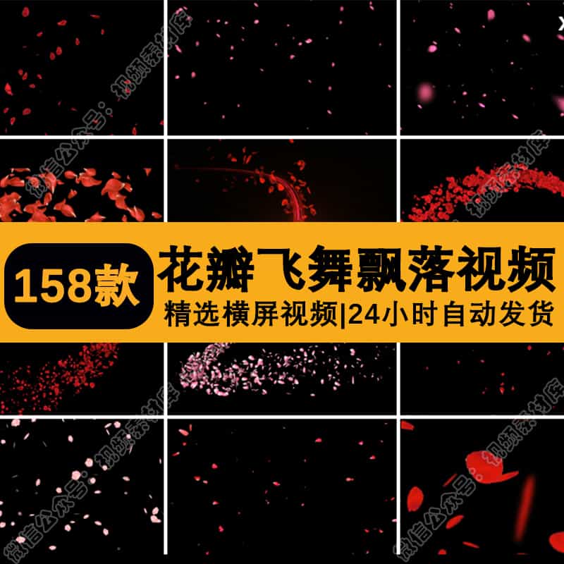 花瓣飘落唯美花朵飞舞樱花桃花特效pr/ae透明底通道动态视频素材