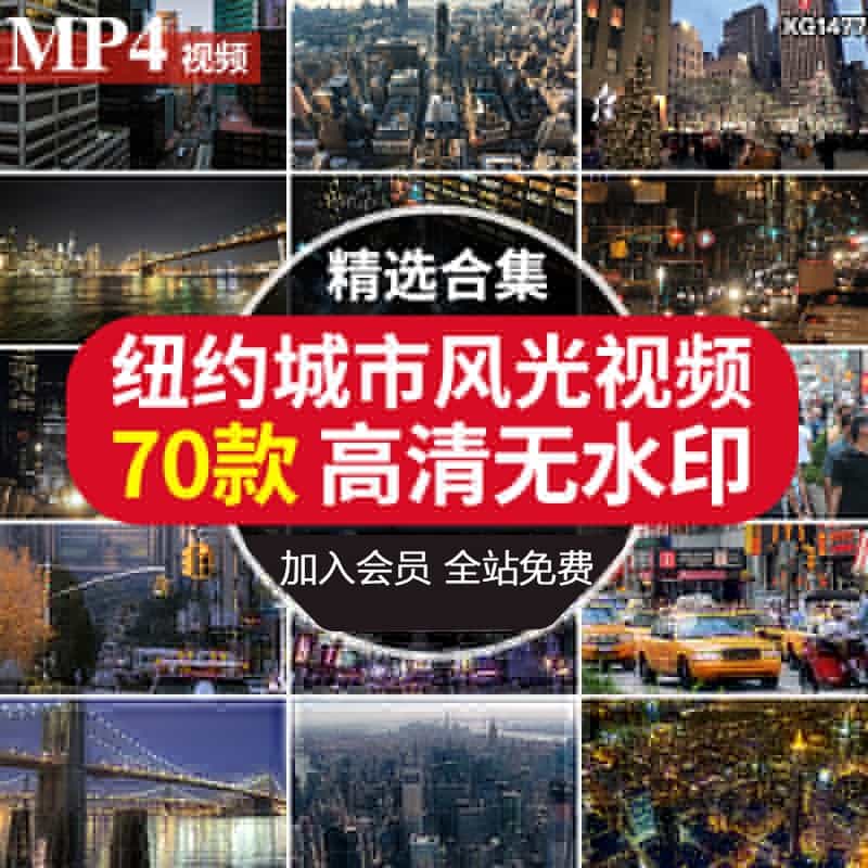 美国纽约曼哈顿城市街景夜人流车流布鲁克林大桥自由女神视频素材【233期】