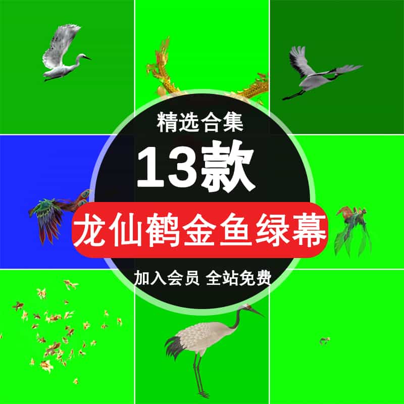 龙仙鹤鱼金鱼抠像绿幕视频素材