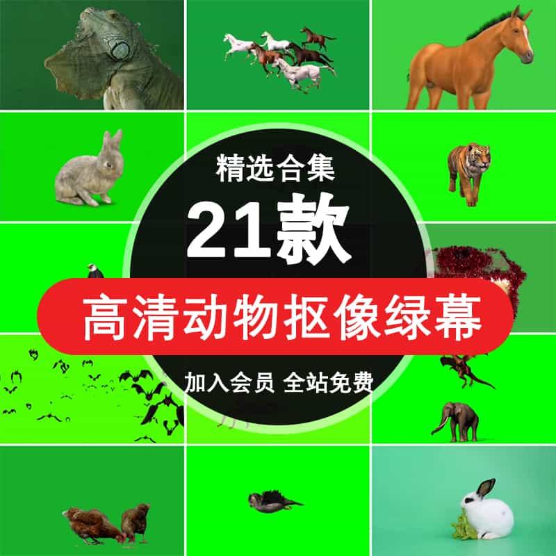 高清动物绿幕抠像视频素材