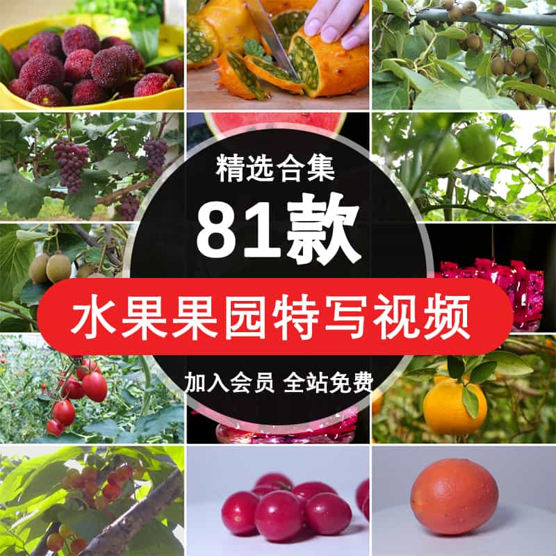 水果西瓜橙子石榴葡萄苹果牛奶草莓水中动态特写短片剪辑视频素材【005期】