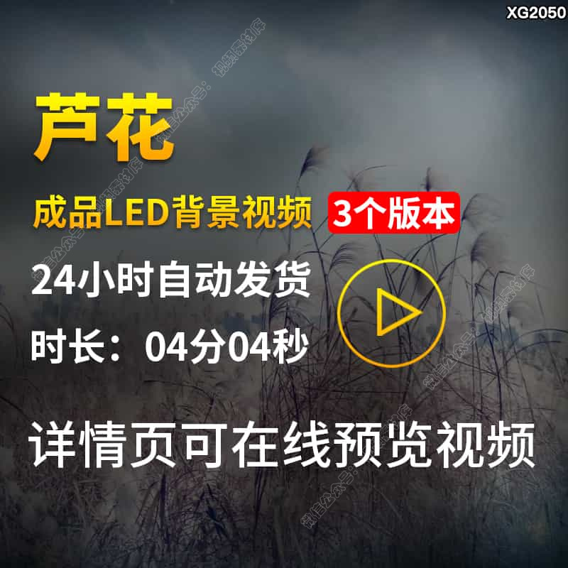芦花歌曲背景配乐版芦苇花唯美芦苇荡风景大屏幕LED背景视频素材