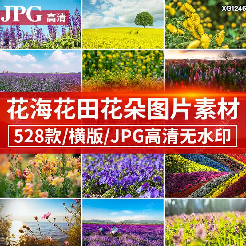 花海花田图片花草花丛花朵开高清电脑壁纸jpg抖音快手自媒体素材