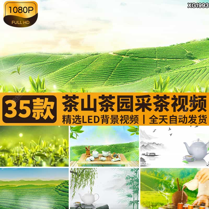 茶园茶叶采茶山舞美台舞蹈表演出晚会LED大屏幕动态背景视频素材