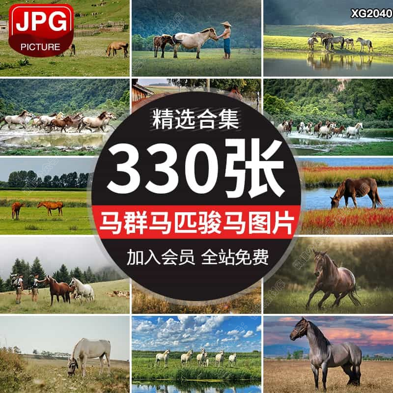 草原骏马奔跑奔腾宝马白马野马动物生物马群奔驰马匹图片设计素材