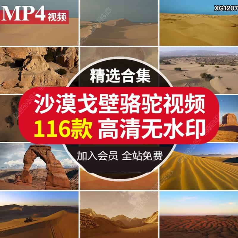 荒野沙漠戈壁日落骆驼风化地貌大漠丝绸之路沙丘草原风景视频素材