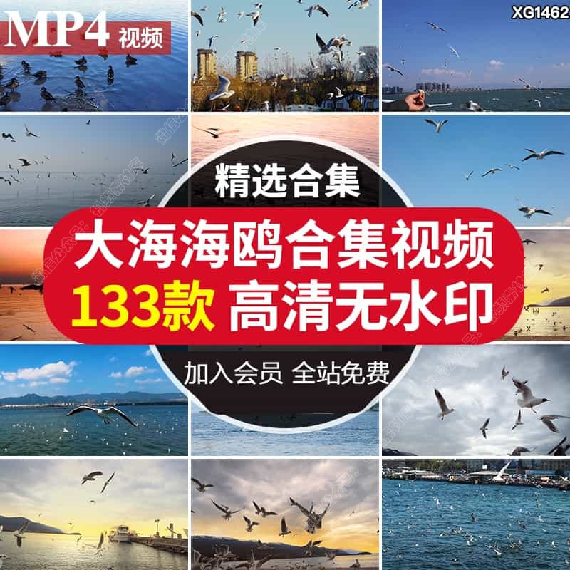 蓝天白云天空海鸥飞翔海洋沙滩海浪海边风景LED背景剪辑视频素材