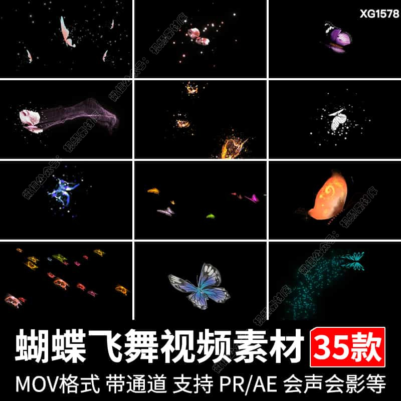 蝴蝶飞舞蝴蝶群拖尾粒子效果元素动画合成动态带透明通道视频素材