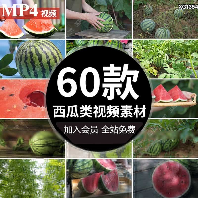 西瓜水果特写种植园瓜地瓜秧宣传片食材实拍自媒体短视频剪辑素材