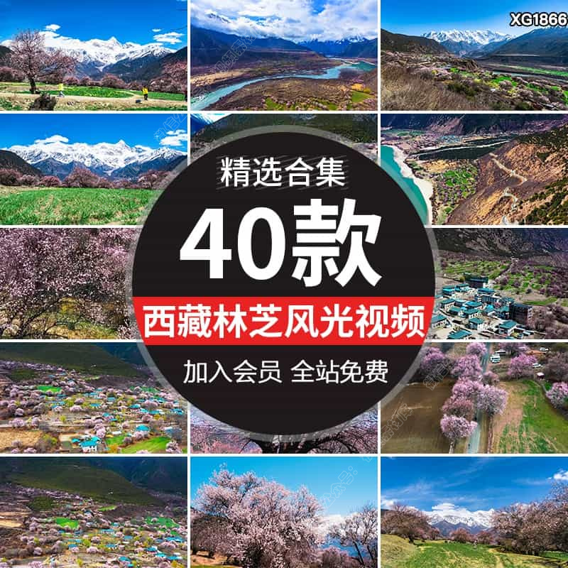 西藏林芝桃花节村落自然风景桃花沟南迦巴瓦峰雪山风光短视频素材