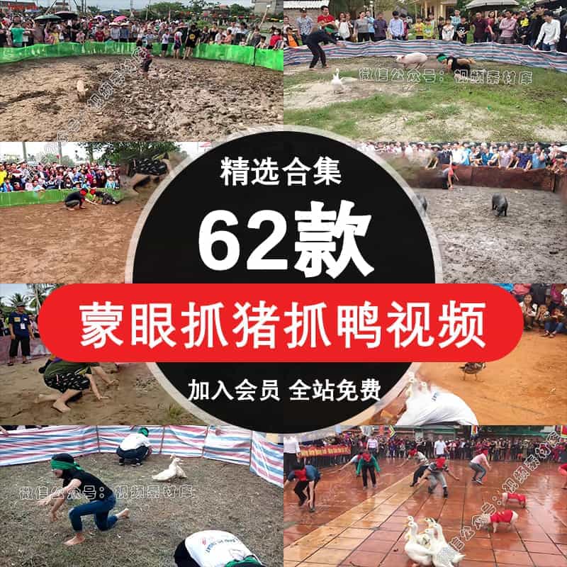 越南乡村蒙眼抓猪鹅鸭趣味运动比赛高清视频热门抖音无人直播素材