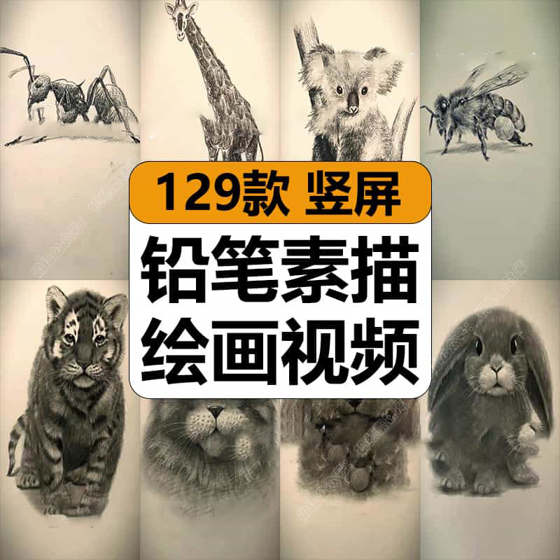 铅笔素描绘画画艺术创意勾勒动物形象解压高清短视频小说推文素材