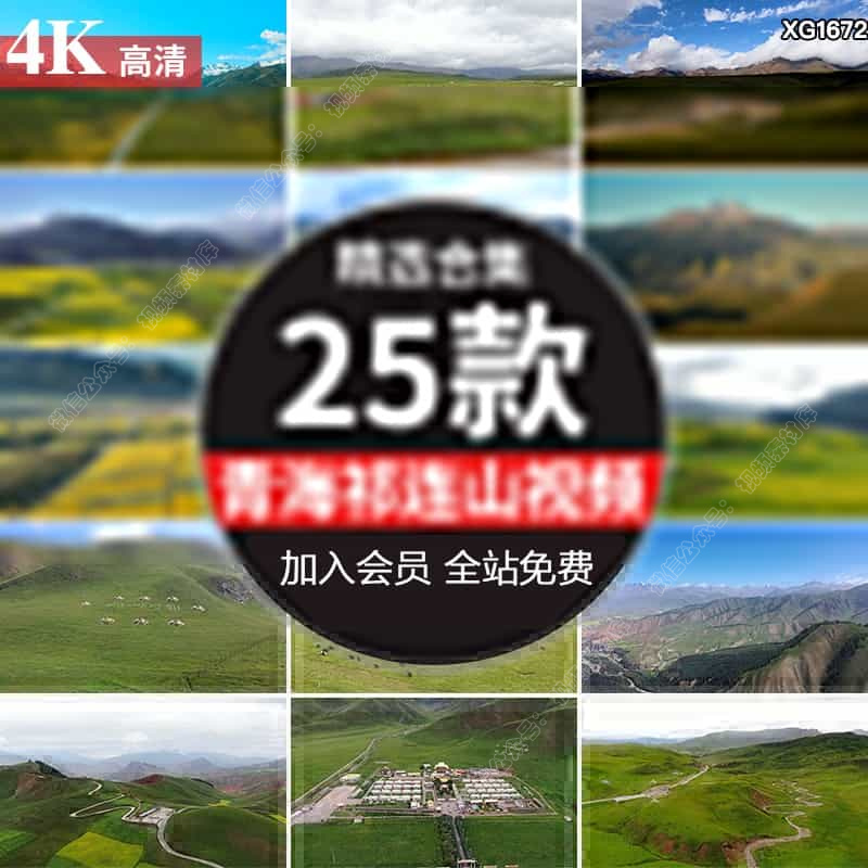 青海祁连山油菜花田自然景观风光雪山脉草原牧场风景航拍视频素材