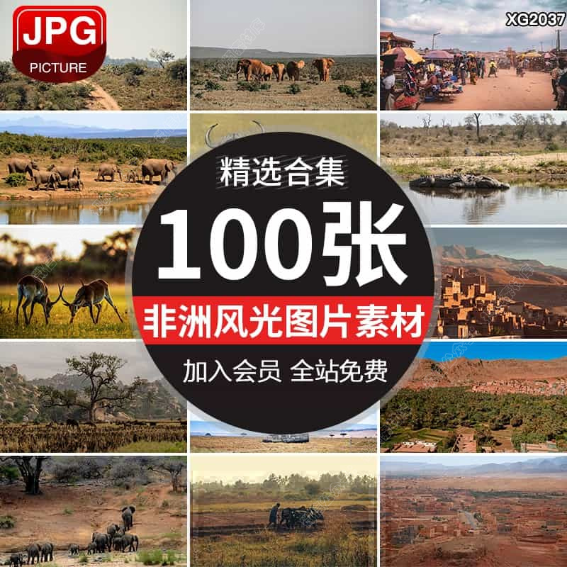 非洲自然风景观大草原动物大象人文旅游JPG照片图片设计素材