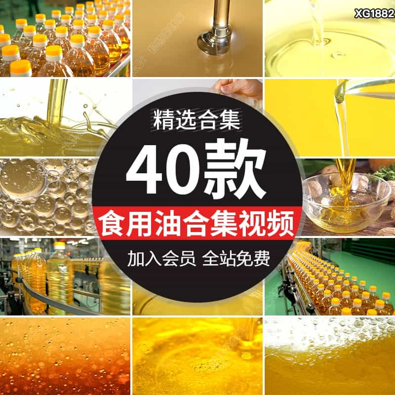 食用油倒油花生油菜籽油植物油鲜榨核桃油倒油工厂生产线视频素材