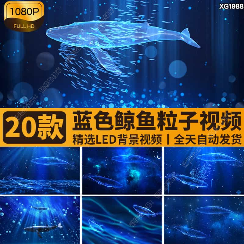 唯美梦幻星空鲸鱼婚礼浪漫抒情蓝色海洋粒子舞台LED背景视频素材