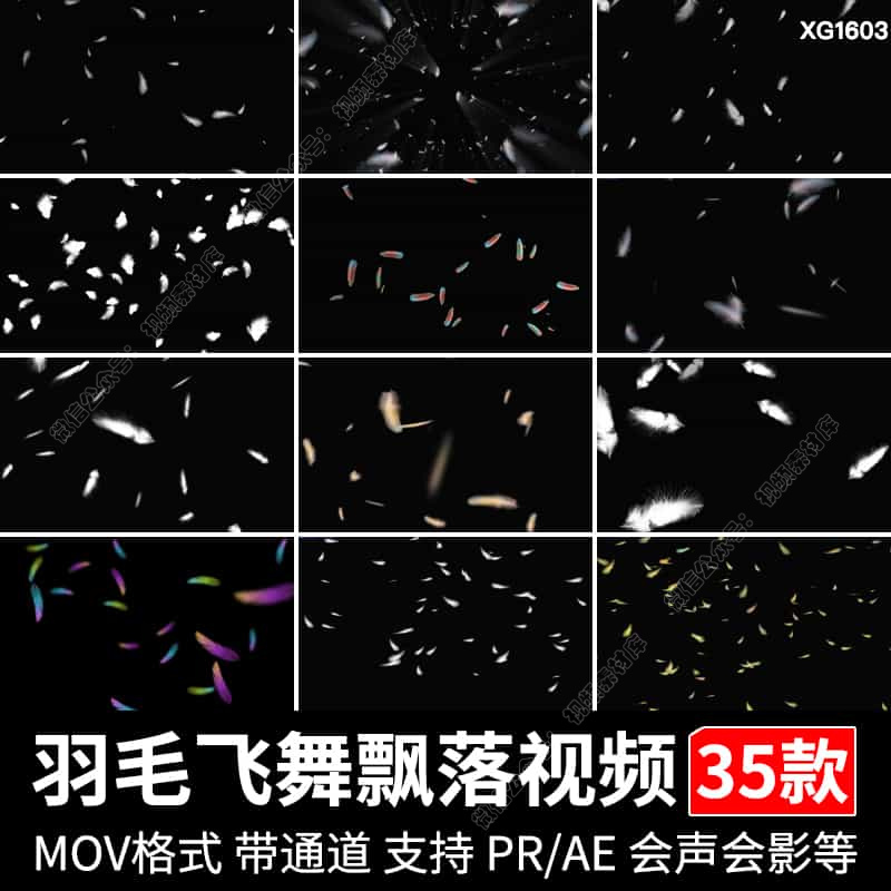 唯美羽毛飘落飘飞漂浮彩色白色飘动飞舞效果特效透明通道视频素材