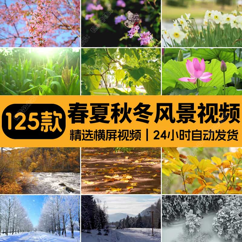 四季植物天气变幻变化季节交替春夏秋冬季抖音高清剪辑短视频素材