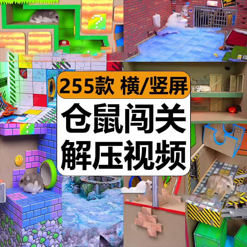 国外小仓鼠闯关搞笑治愈游戏模拟减解压高清视频抖音小说推文素材