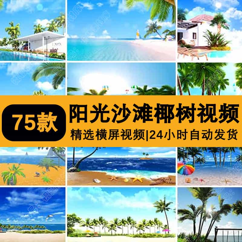 夏日阳光沙滩椰树椰子大海蓝天海边海滩热带风情LED背景视频素材