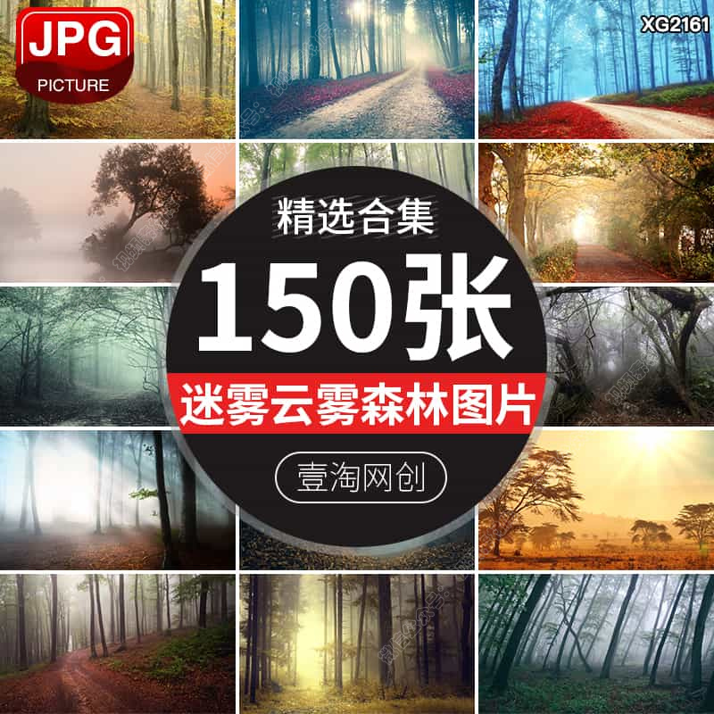 山林森林迷雾道路起雾仙境雾霾树林云雾缭绕弥漫雾气晨雾图片素材
