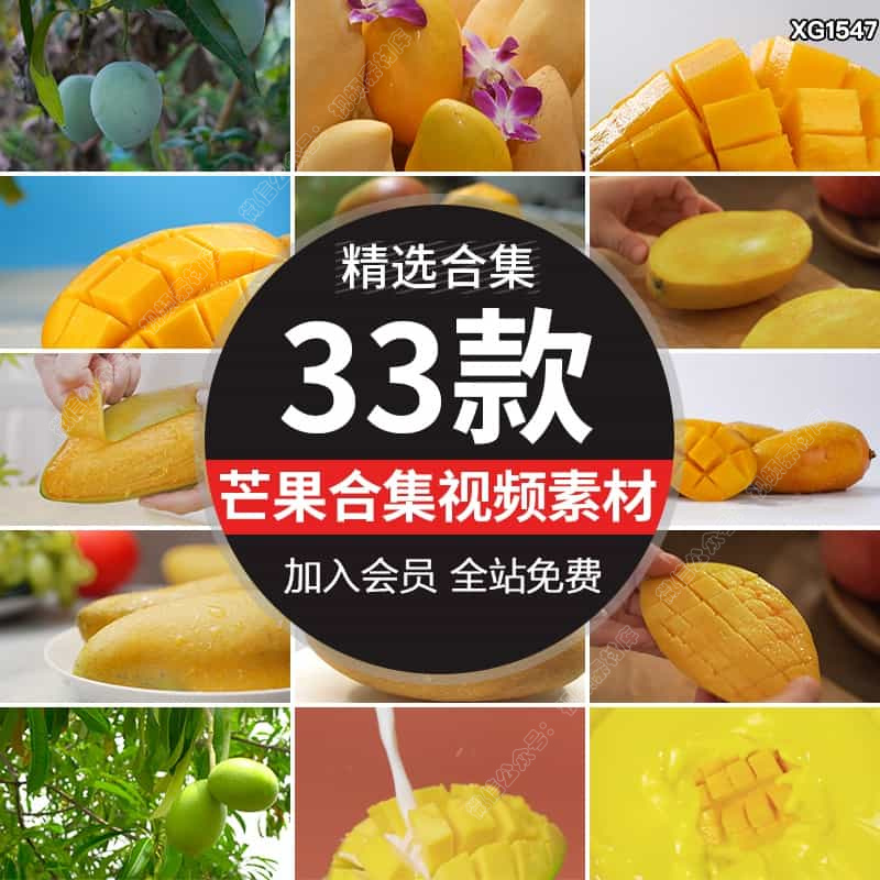 新鲜芒果树热带水果果汁特写种植园果实有机农业高清实拍视频素材