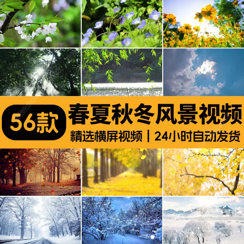 春夏秋冬天四季变换花草一年四季花草雪景LED大屏幕背景视频素材