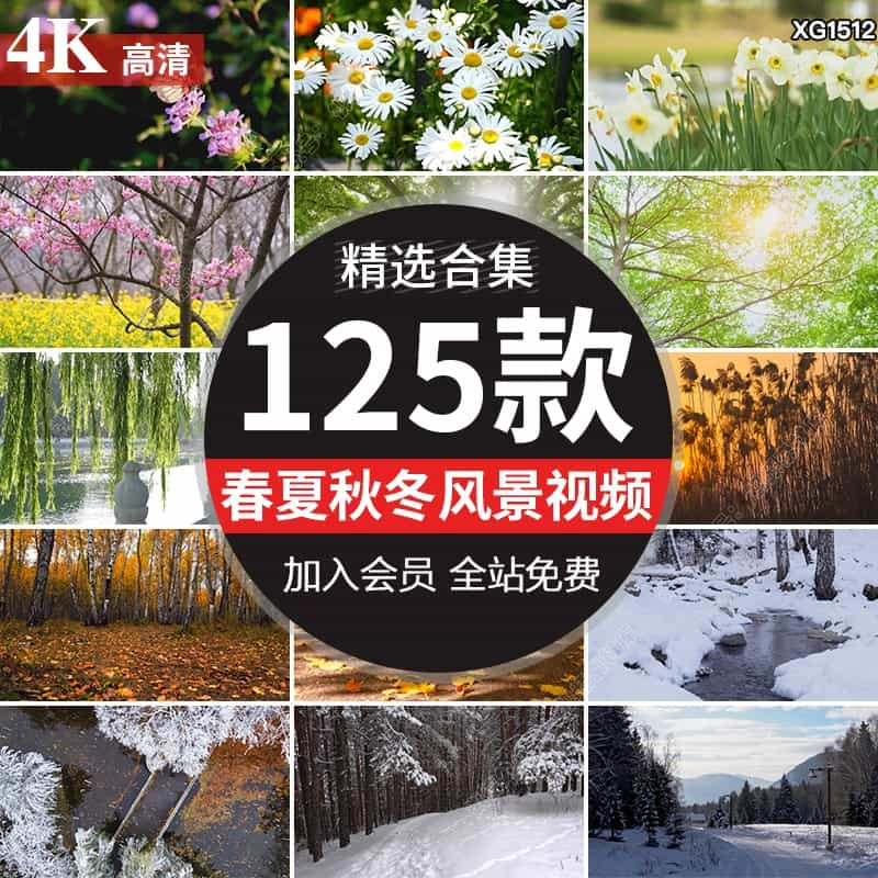 春夏秋冬季节天气四季变化枫叶花草春暖花开雪景LED背景视频素材