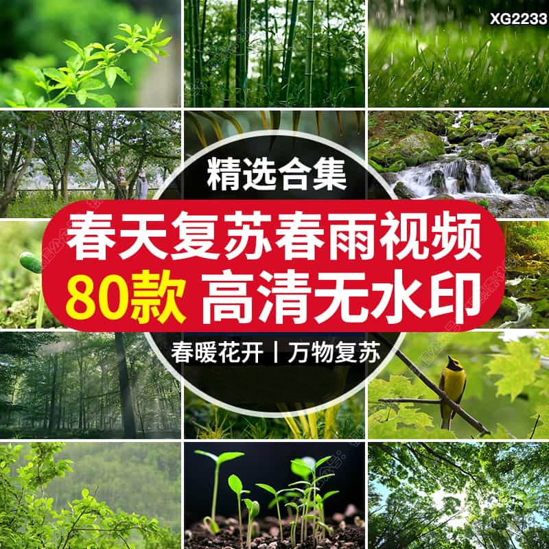春天花开万物复苏植物发芽唯美清新树林阳光小鸟春雨实拍视频素材