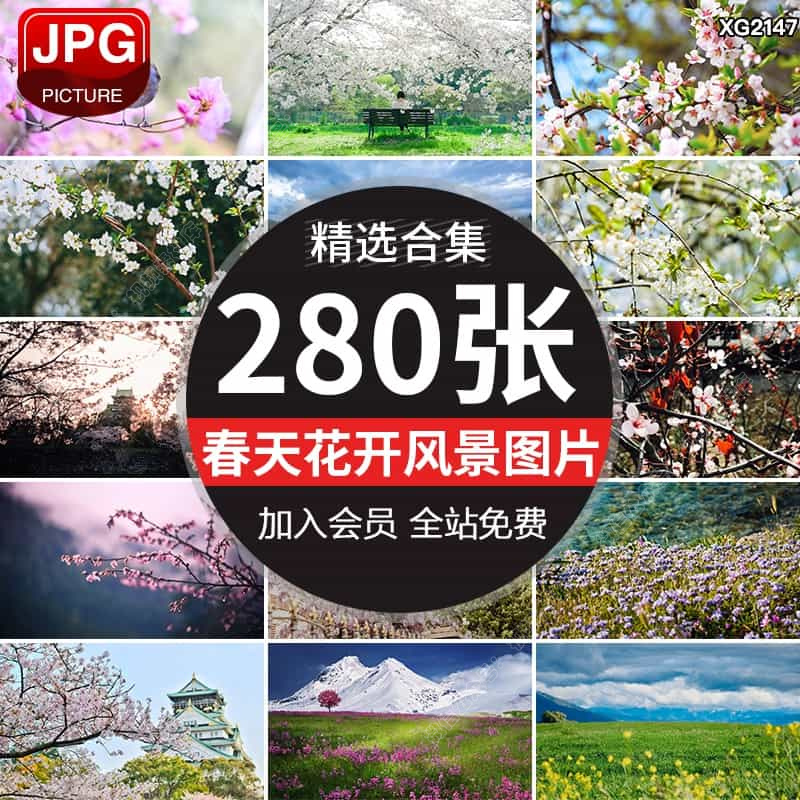 春暖花开初春天萌芽发芽开花风景色花朵盛开自然植物美景图片素材
