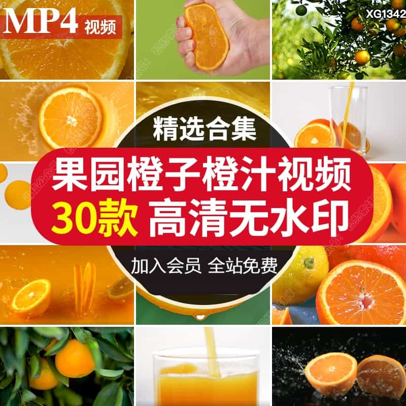 果园采摘下黄色橙子橙树水果实切开橙片果肉特写挤橙汁短视频素材