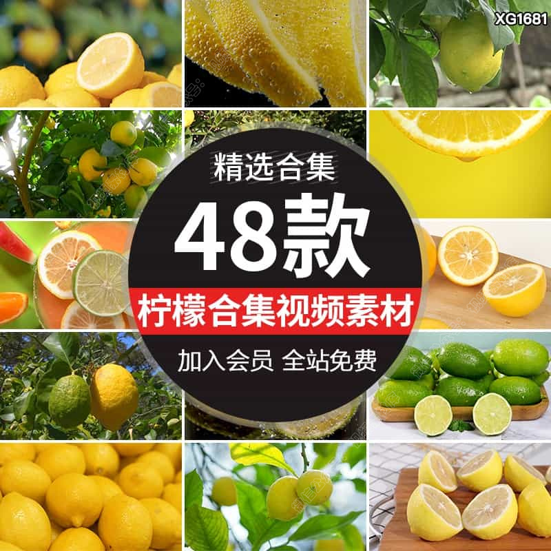 柠檬新鲜水果柠檬树上果实青柠檬片柠檬汁柠檬果园实拍短视频素材