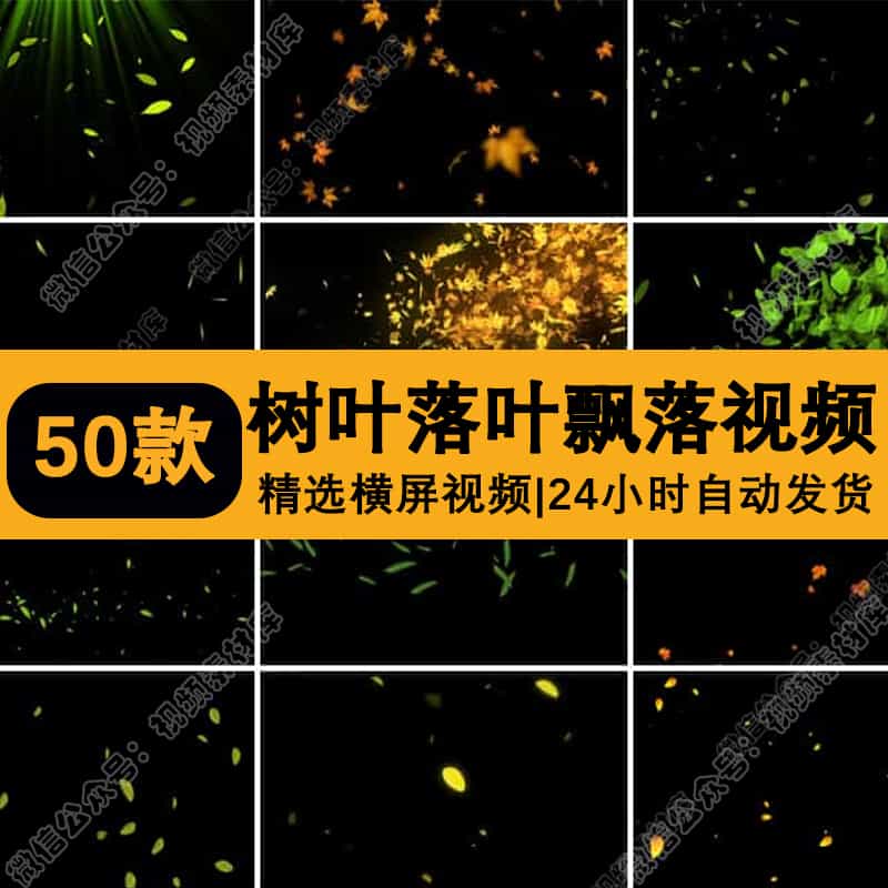 树叶飘落叶清新绿叶子秋天枫叶特效动态MOV透明通道pr_ae视频素材