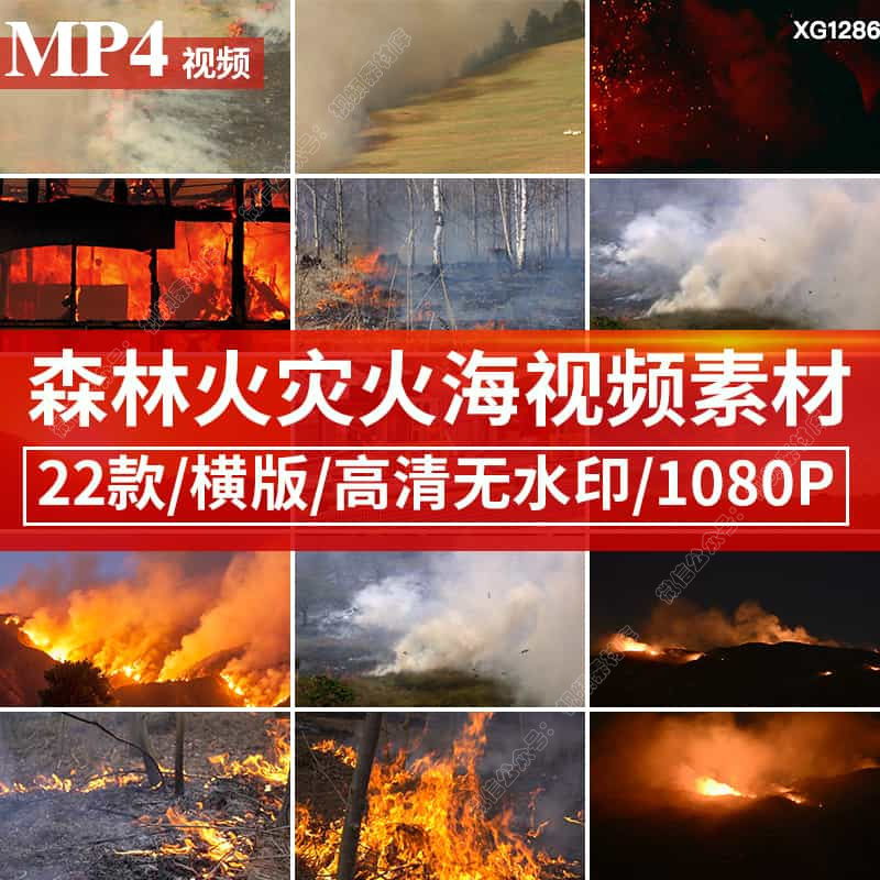 森林树林火灾大自然灾害火海火野火山火势蔓延时燃烧现场视频素材