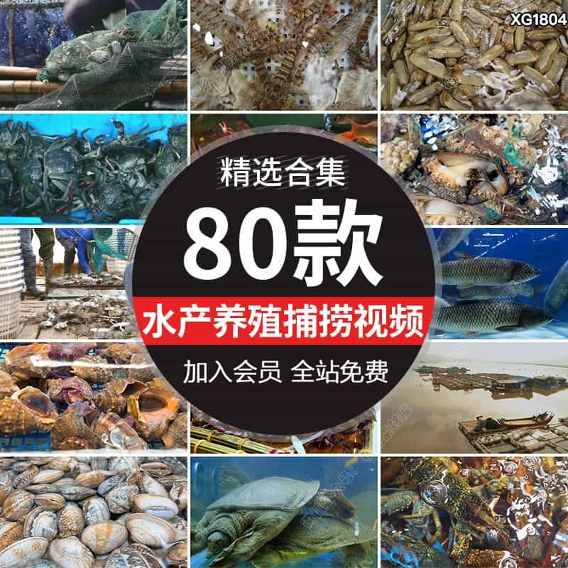 水产养殖场渔业螃蟹大闸蟹养鱼塘捕捞捕鱼虾龙虾鲍鱼海鲜视频素材【252期】