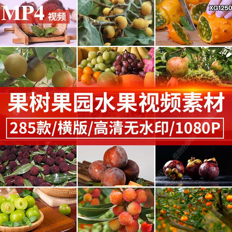 水果夏季果树农产品果树园采摘成熟果实特写自媒体短视频剪辑素材